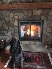 Max by the fireplace